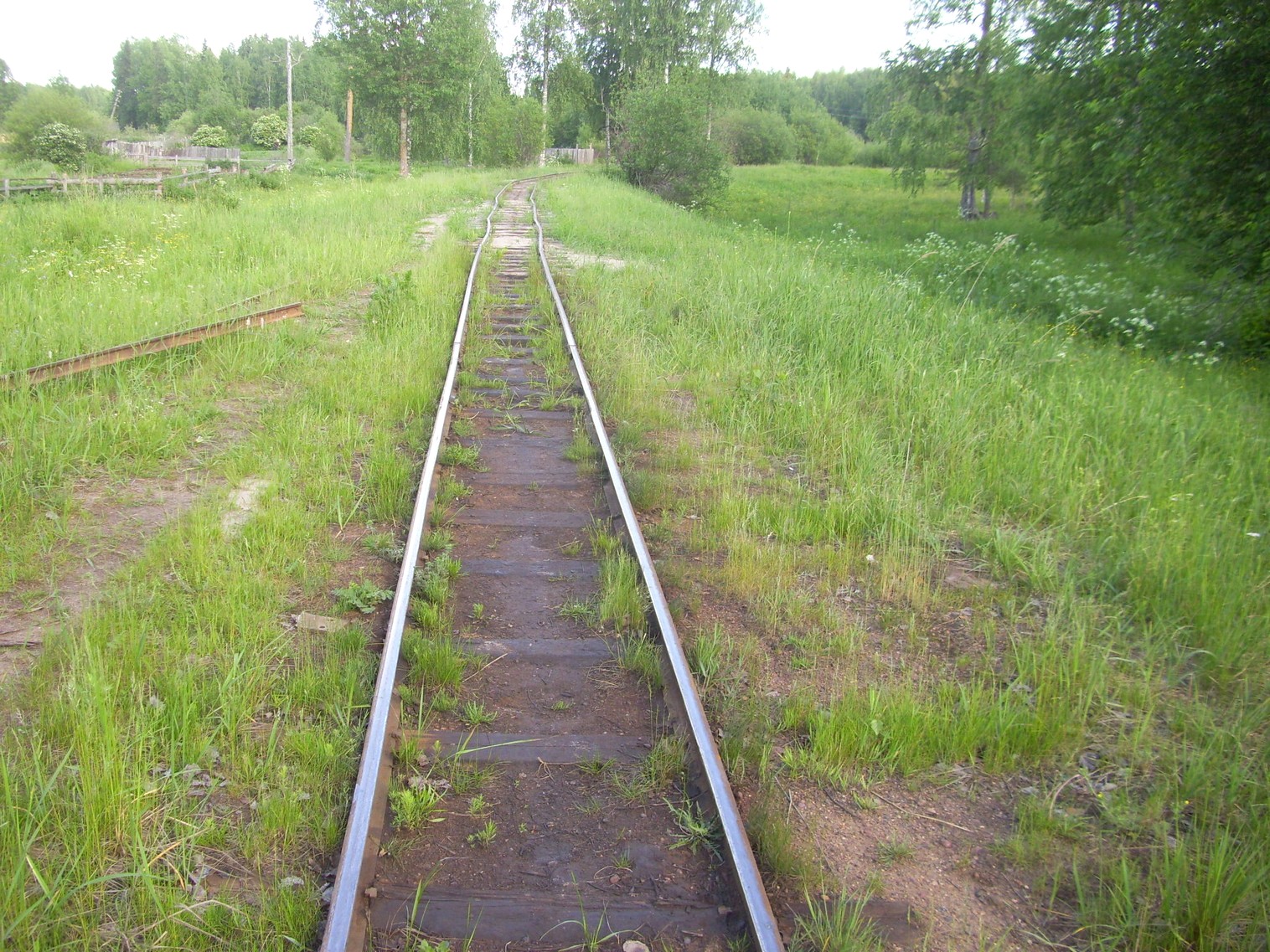 Узкоколейная железная дорога Каринского транспортного управления — фотографии, сделанные в 2012 году (часть 32)