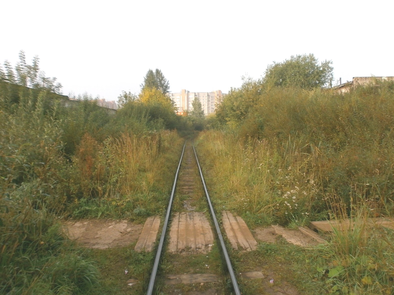 Узкоколейная железная дорога Каринского транспортного управления — фотографии, сделанные в 2014 году (часть 1)