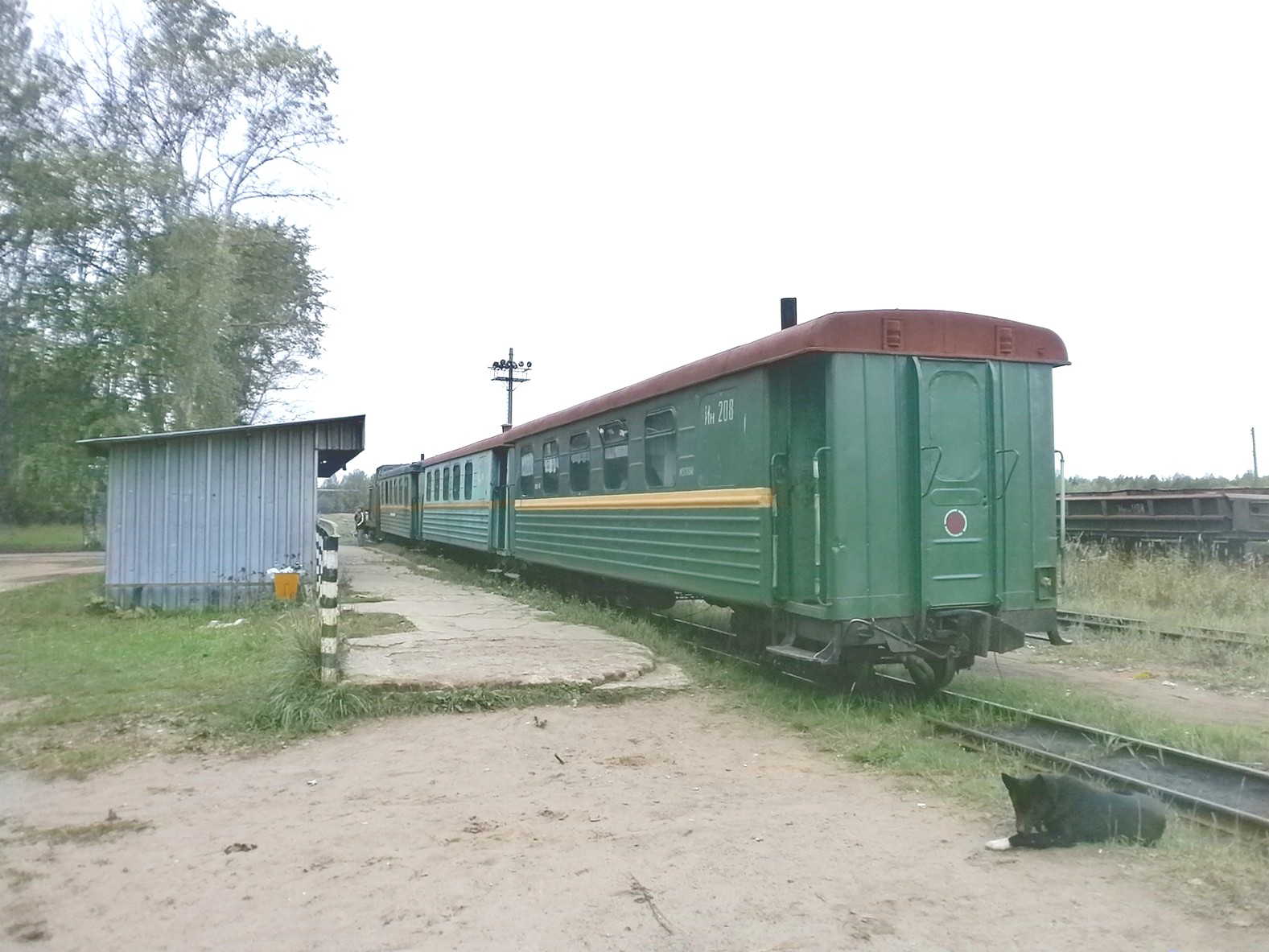 Узкоколейная железная дорога Каринского транспортного управления — фотографии, сделанные в 2014 году (часть 3)