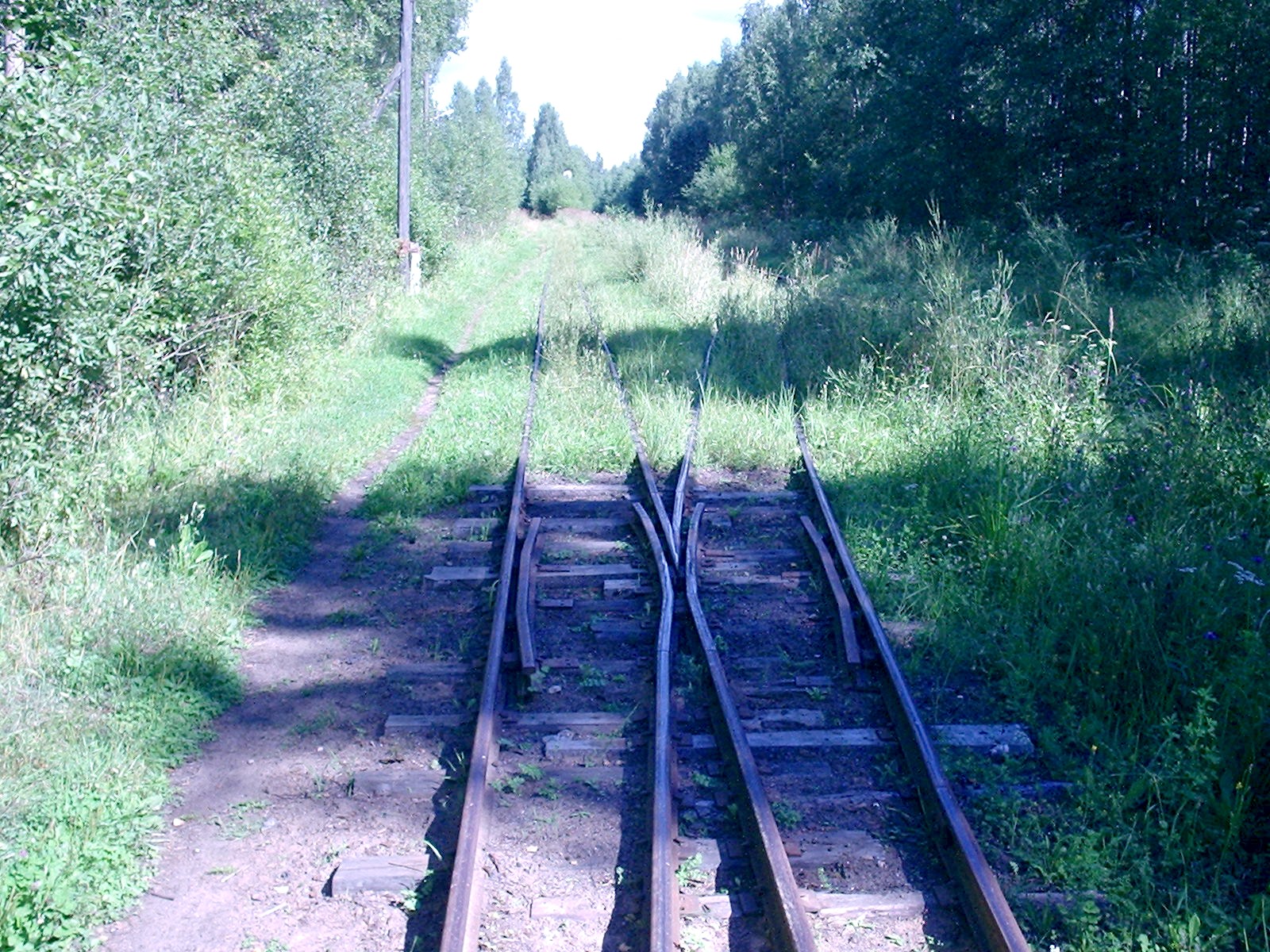 Узкоколейная железная дорога Васильевского предприятия промышленного железнодорожного транспорта  — фотографии, сделанные в 2005 году (часть 15)