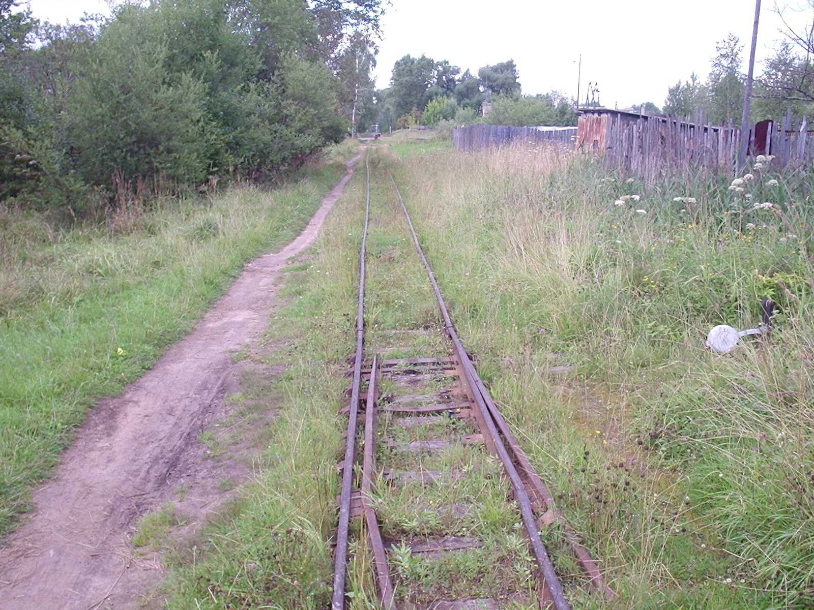 Узкоколейная железная дорога Васильевского предприятия промышленного железнодорожного транспорта  — фотографии, сделанные в 2005 году (часть 17)