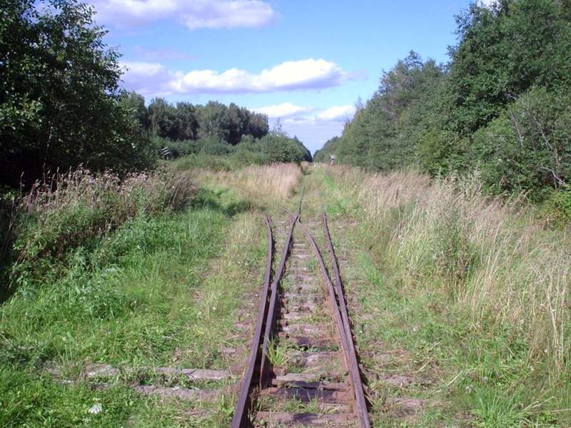 Узкоколейная железная дорога Васильевского предприятия промышленного железнодорожного транспорта  — фотографии, сделанные в 2005 году (часть 33)