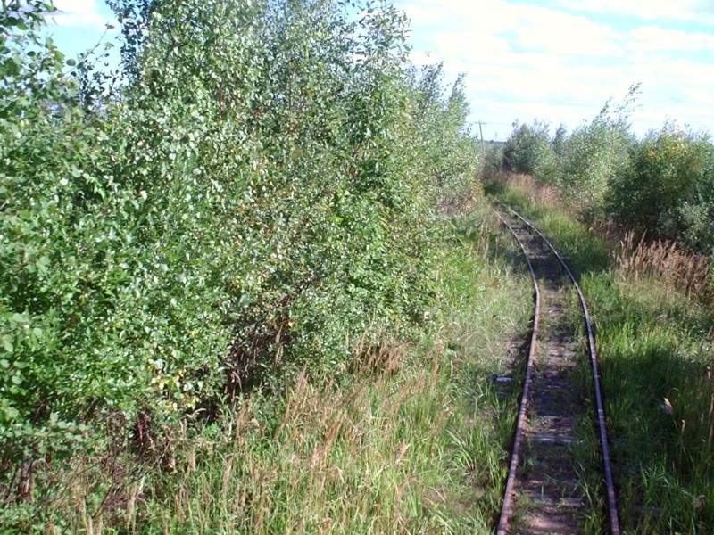 Узкоколейная железная дорога Васильевского предприятия промышленного железнодорожного транспорта  — фотографии, сделанные в 2005 году (часть 34)