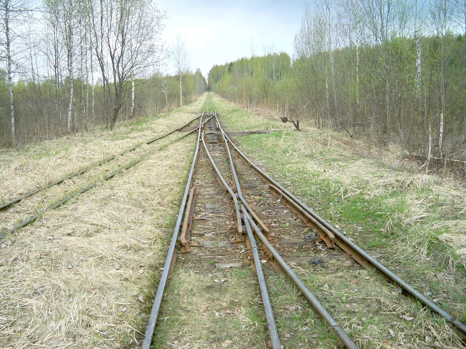 Узкоколейная железная дорога Васильевского предприятия промышленного железнодорожного транспорта  — фотографии, сделанные в 2014 году (часть 15)