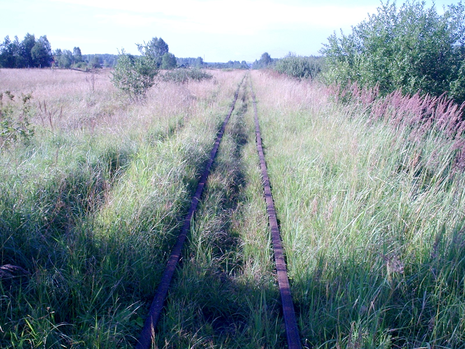 Каменская узкоколейная железная дорога — фотографии, сделанные в 2005 году (часть 1)