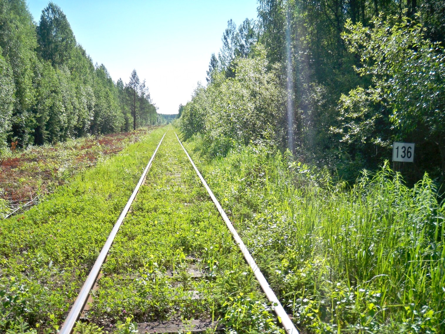 Монзенская железная дорога
  —  фотографии, сделанные в 2013 году (часть 18)