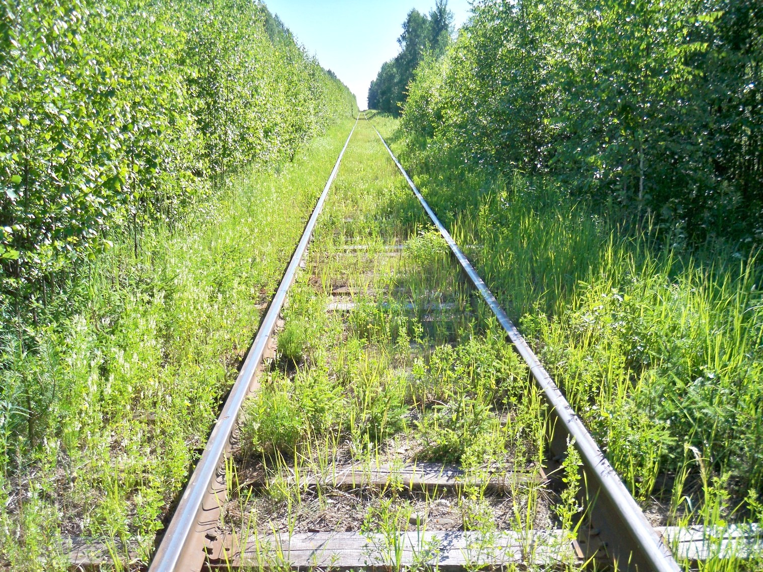 Монзенская железная дорога
  —  фотографии, сделанные в 2013 году (часть 19)