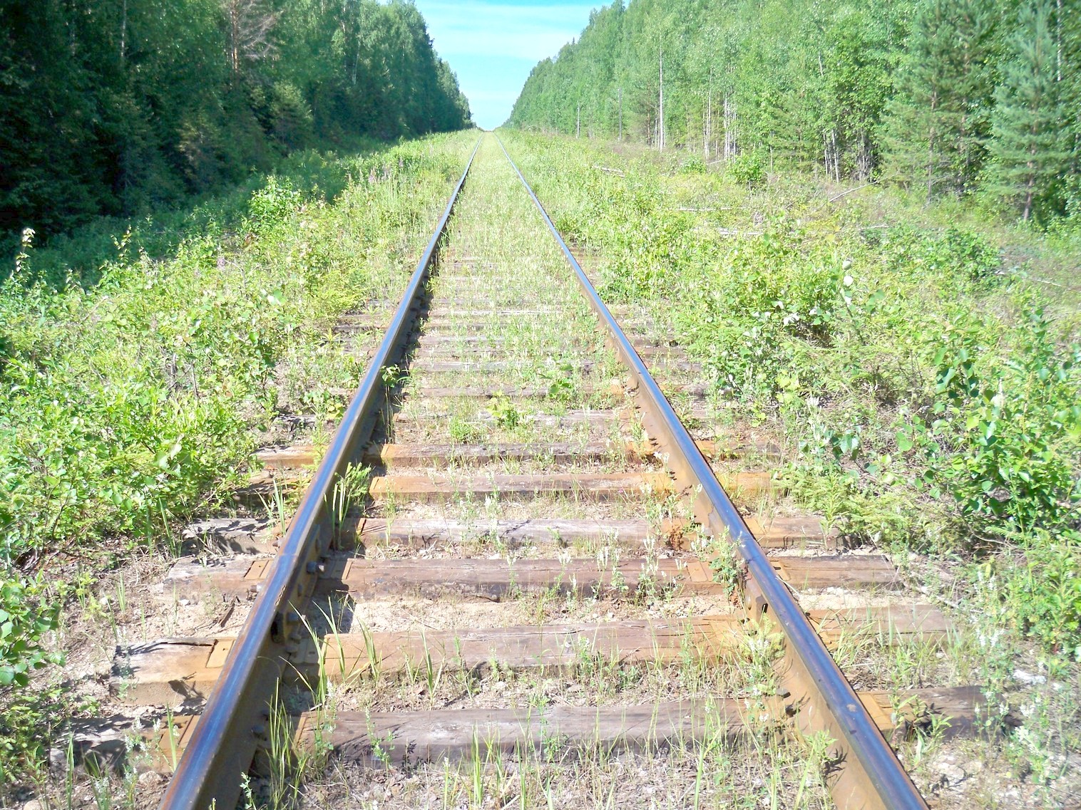 Монзенская железная дорога
  —  фотографии, сделанные в 2013 году (часть 20)