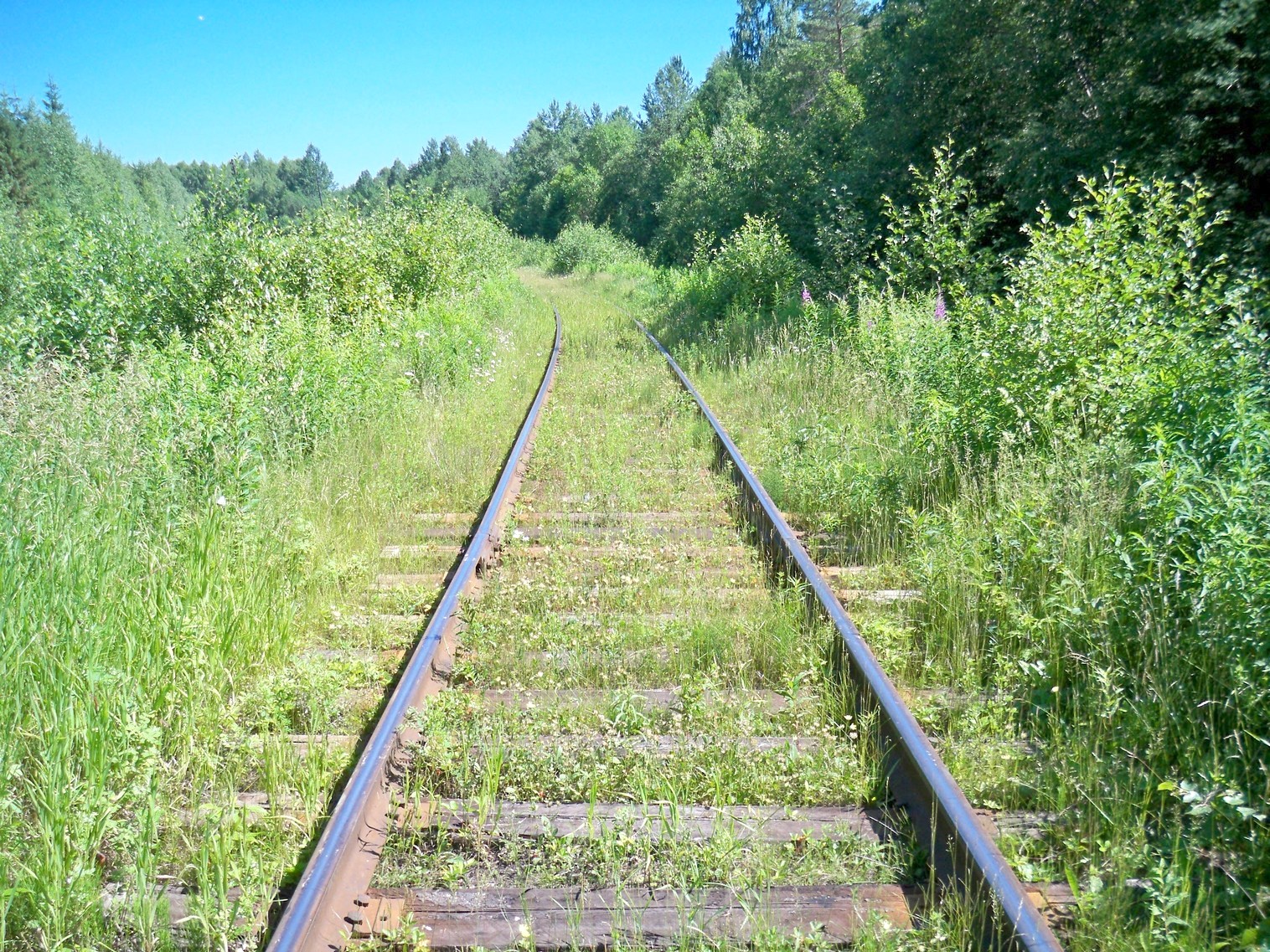 Монзенская железная дорога
  —  фотографии, сделанные в 2013 году (часть 22)