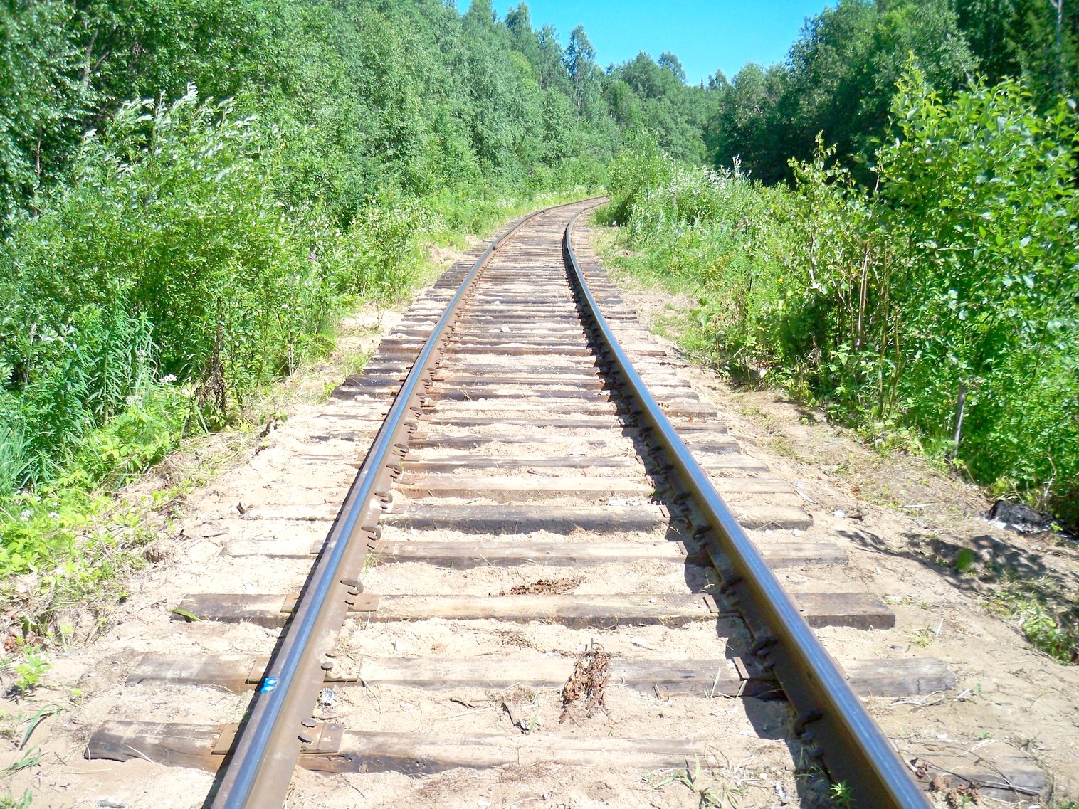 Монзенская железная дорога
  —  фотографии, сделанные в 2013 году (часть 23)
