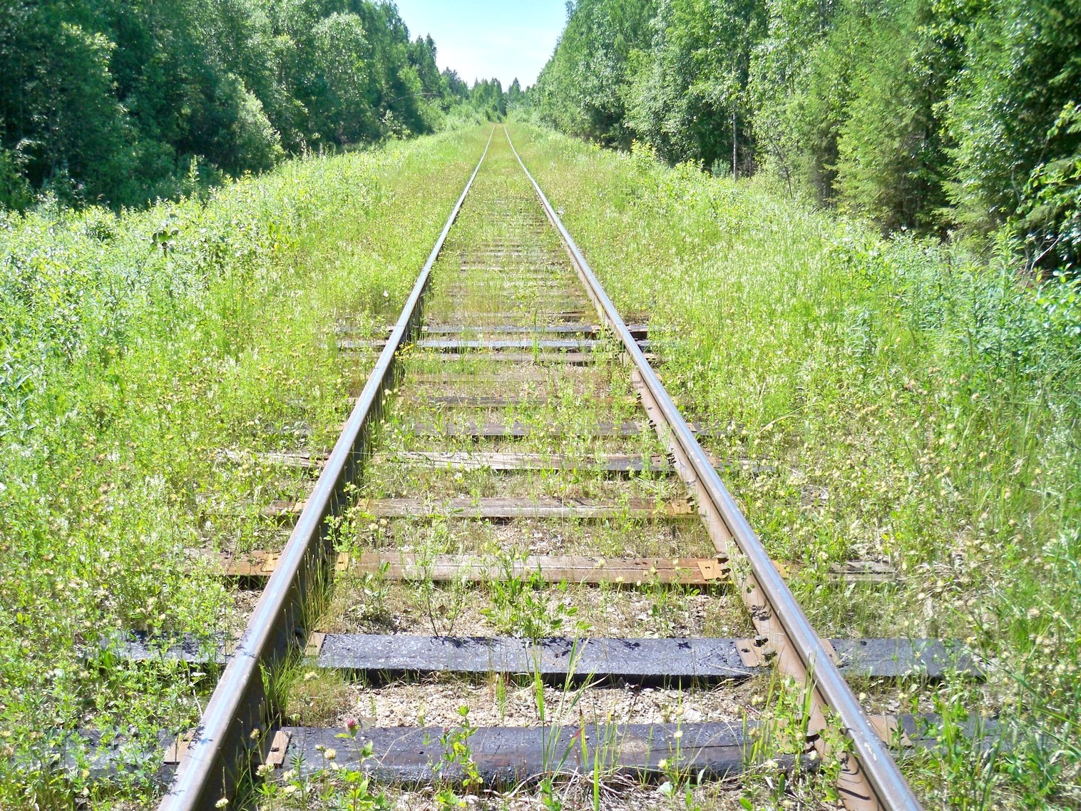 Монзенская железная дорога
  —  фотографии, сделанные в 2013 году (часть 24)