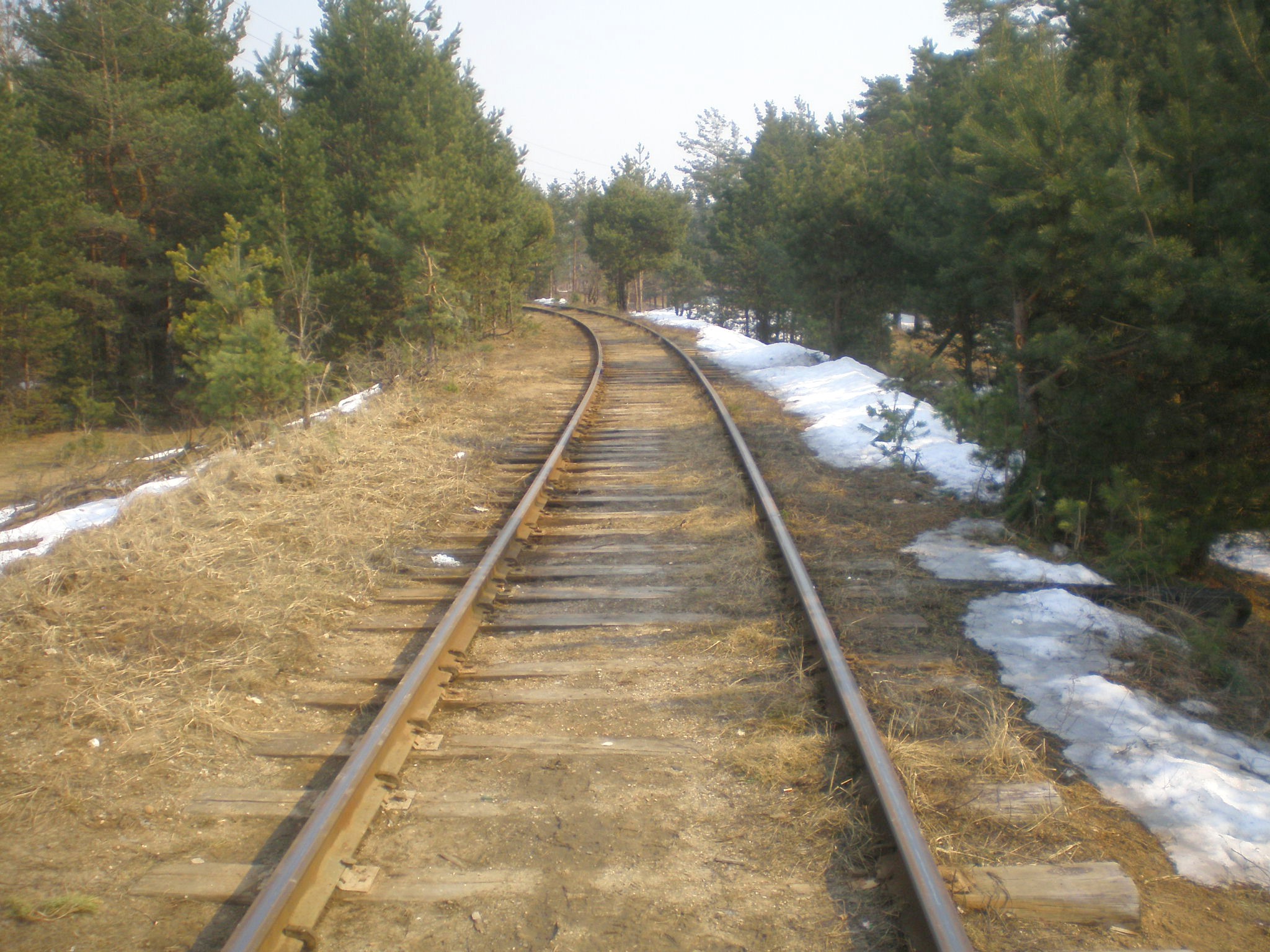 Железнодорожная линия Доронинская — Силикатный —  фотографии, сделанные в 2009 году
