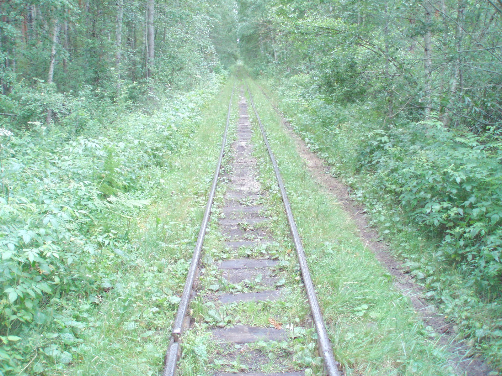 Узкоколейная железная дорога Шатурского транспортного управления — фотографии, сделанные в 2006 году (часть 24)