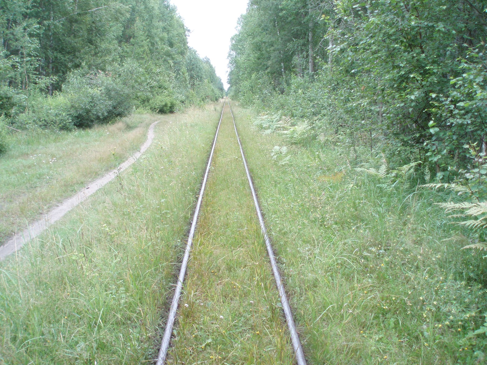 Узкоколейная железная дорога Шатурского транспортного управления — фотографии, сделанные в 2006 году (часть 29)