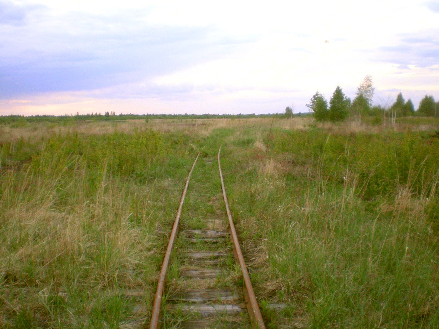 Узкоколейная железная дорога Шатурского транспортного управления — фотографии, сделанные в 2009 году (часть 22)