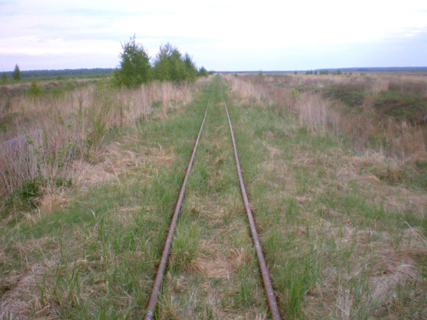 Узкоколейная железная дорога Шатурского транспортного управления — фотографии, сделанные в 2009 году (часть 23)