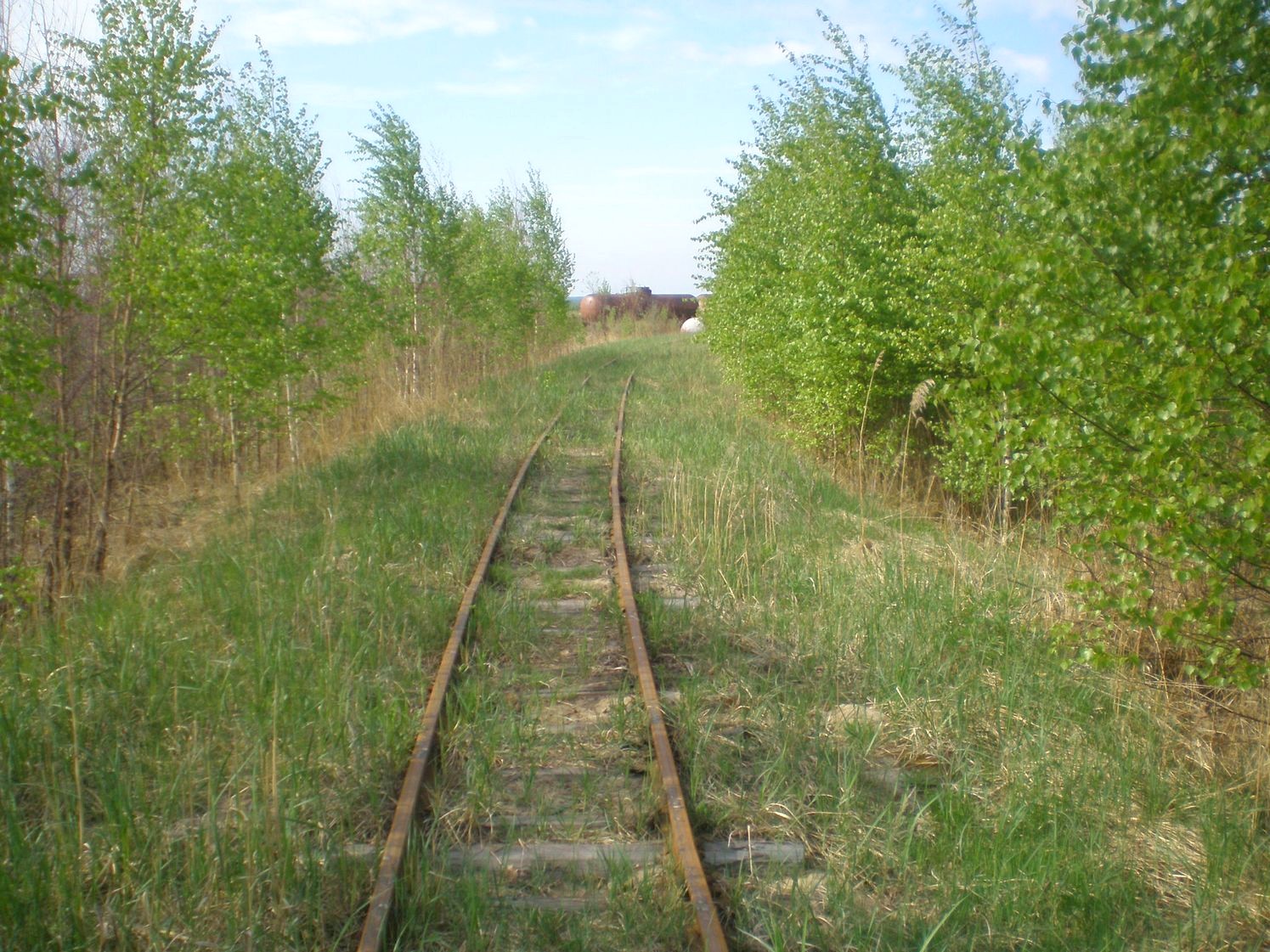 Узкоколейная железная дорога Шатурского транспортного управления — фотографии, сделанные в 2009 году (часть 25)