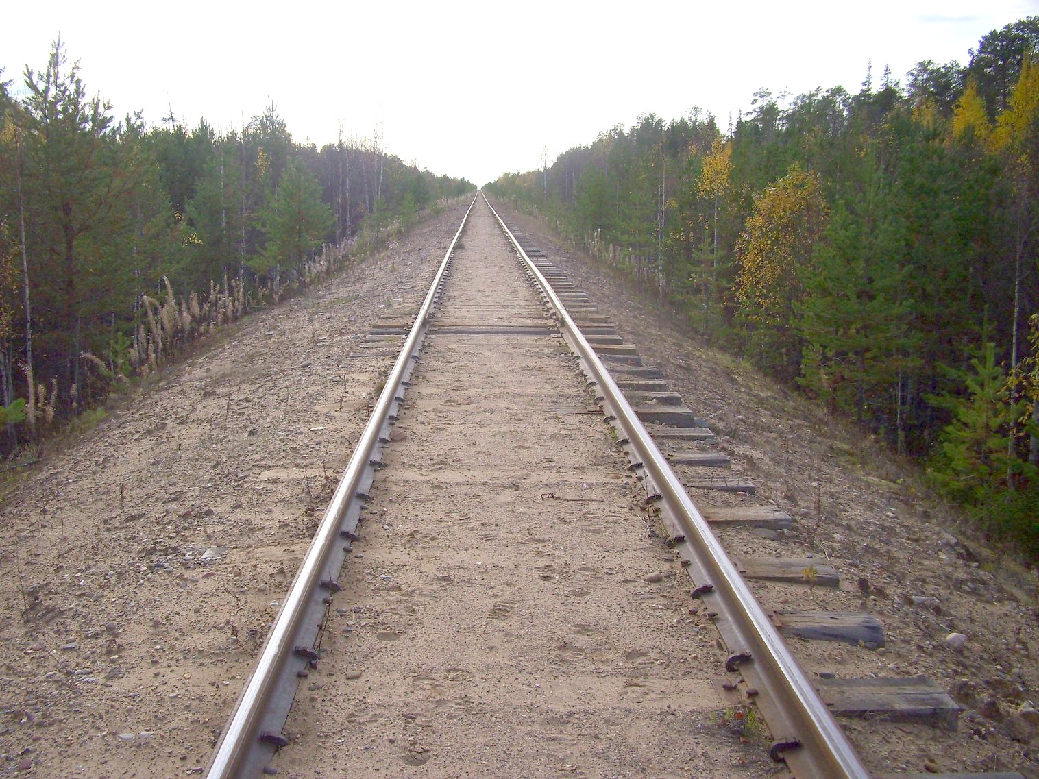 Мезенская железная дорога
  —  фотографии, сделанные в 2010 году (часть 11)