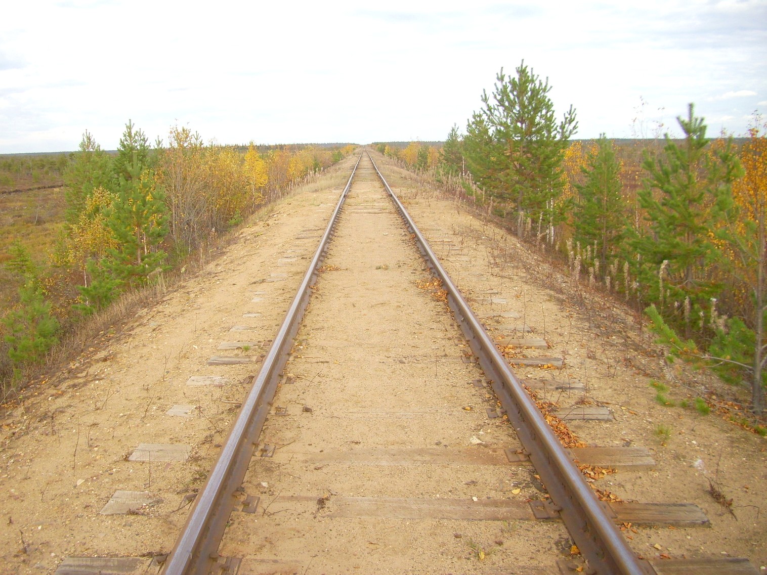 Мезенская железная дорога
  —  фотографии, сделанные в 2010 году (часть 12)