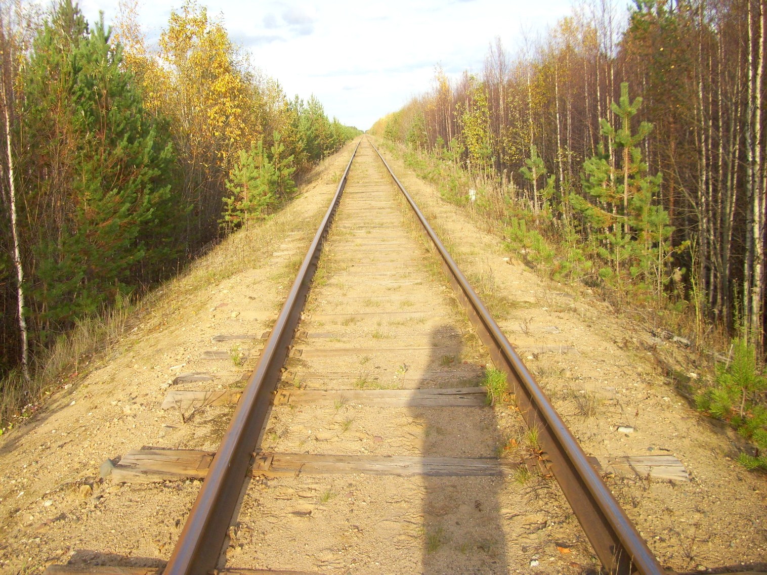 Мезенская железная дорога
  —  фотографии, сделанные в 2010 году (часть 13)