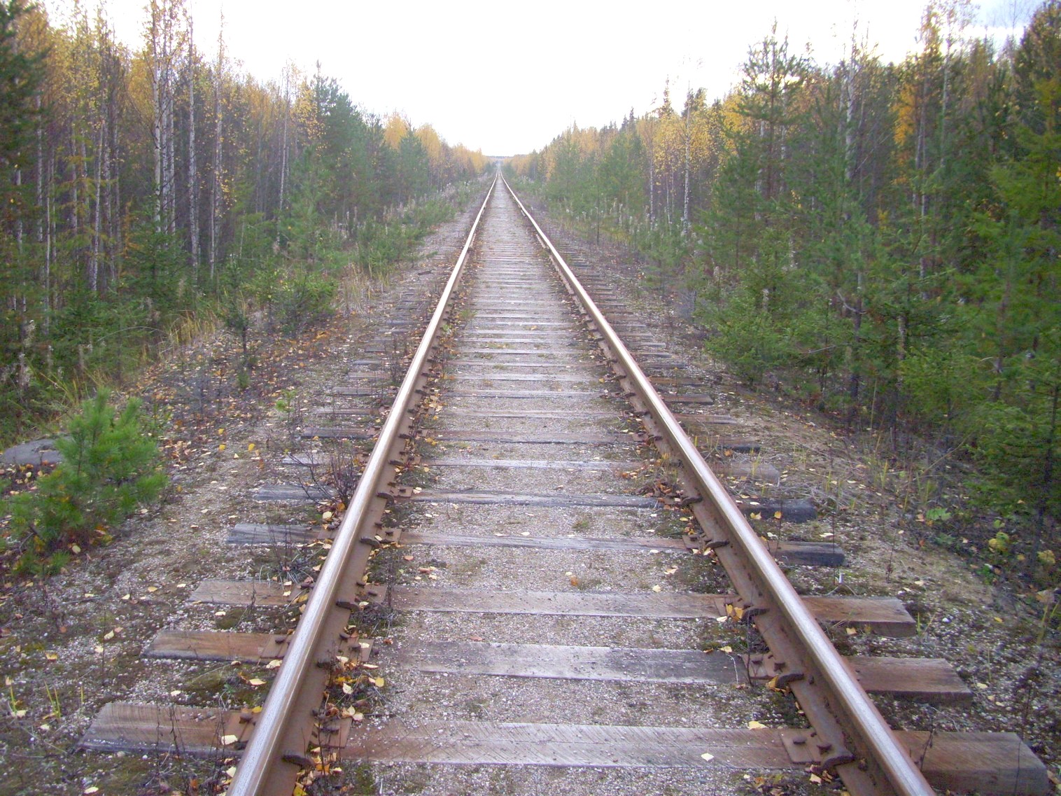Мезенская железная дорога
  —  фотографии, сделанные в 2010 году (часть 16)