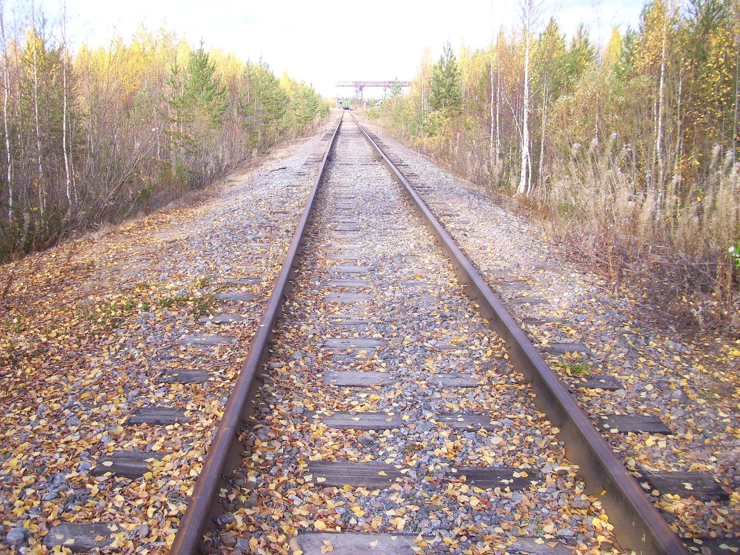 Мезенская железная дорога
  —  фотографии, сделанные в 2010 году (часть 5)