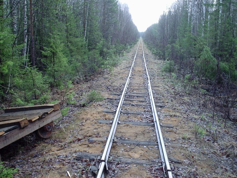 Усть-Лупьинская узкоколейная железная дорога - фотографии (часть 8)