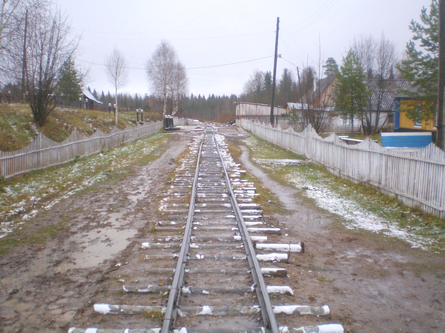 Пильвенская узкоколейная железная дорога  —  фотографии, сделанные в 2008 году (часть 17)