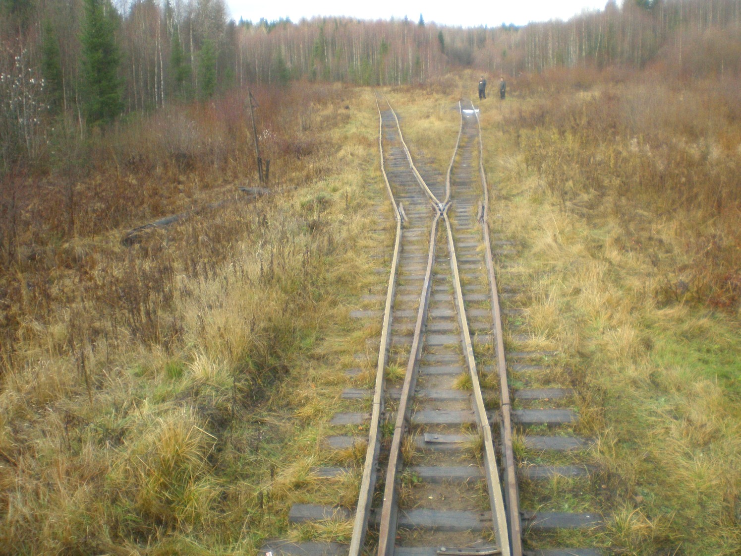 Пильвенская узкоколейная железная дорога  —  фотографии, сделанные в 2008 году (часть 18)