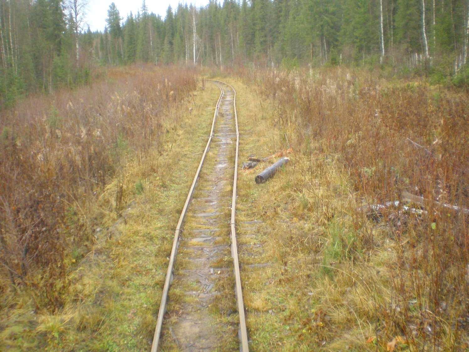 Пильвенская узкоколейная железная дорога  —  фотографии, сделанные в 2008 году (часть 19)