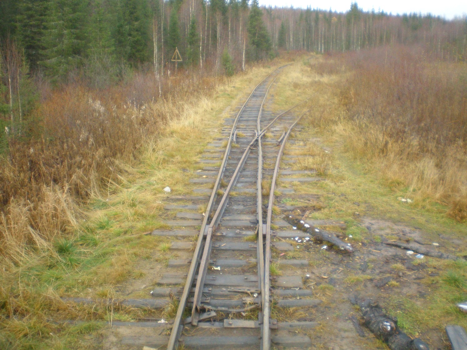 Пильвенская узкоколейная железная дорога  —  фотографии, сделанные в 2008 году (часть 20)