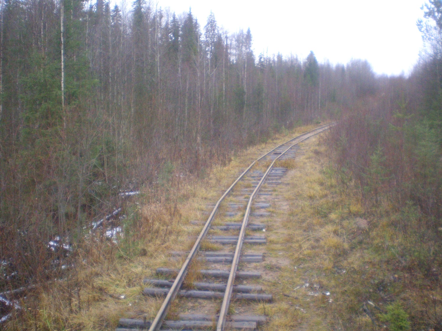 Пильвенская узкоколейная железная дорога  —  фотографии, сделанные в 2008 году (часть 21)