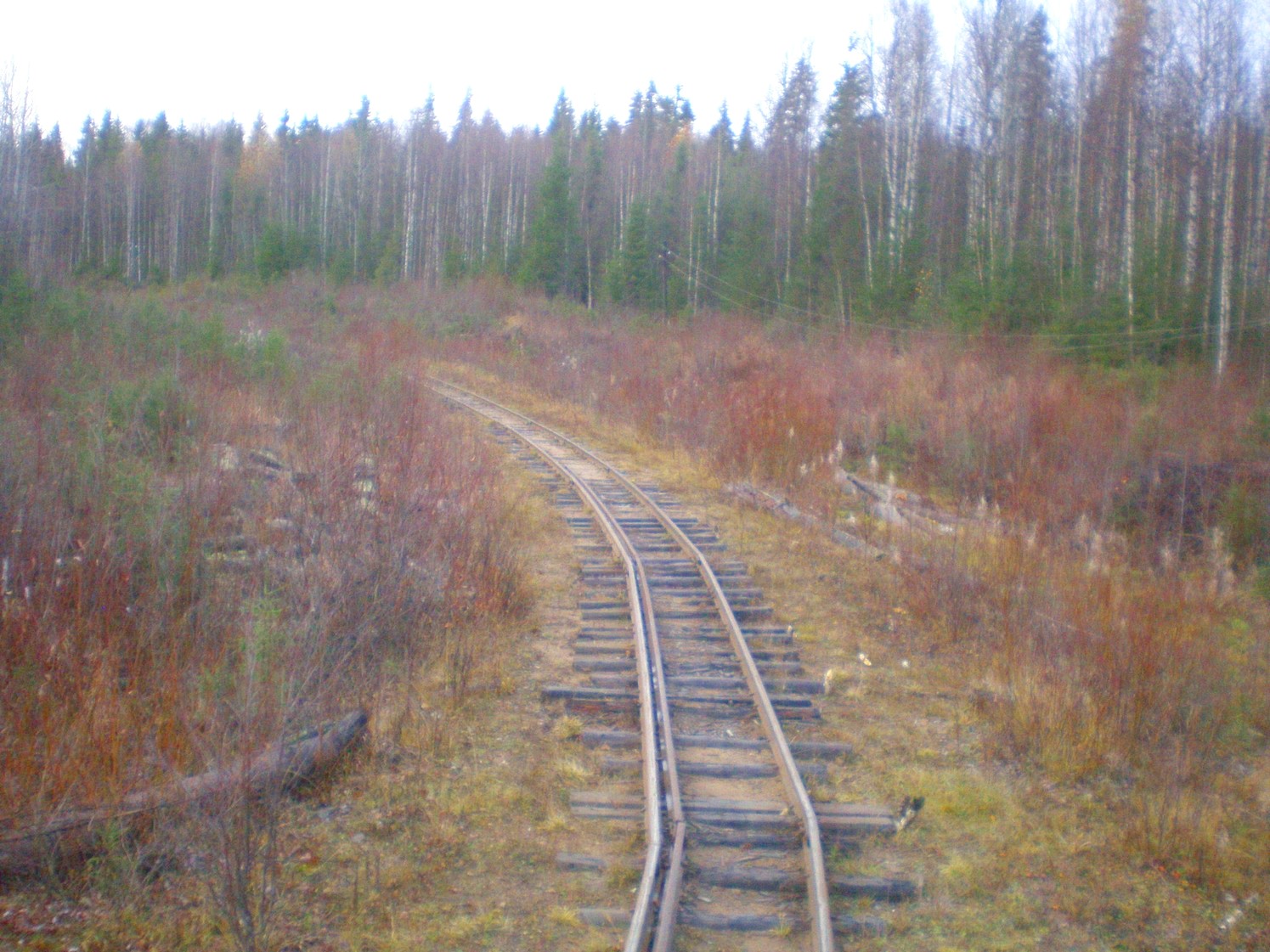 Пильвенская узкоколейная железная дорога  —  фотографии, сделанные в 2008 году (часть 23)