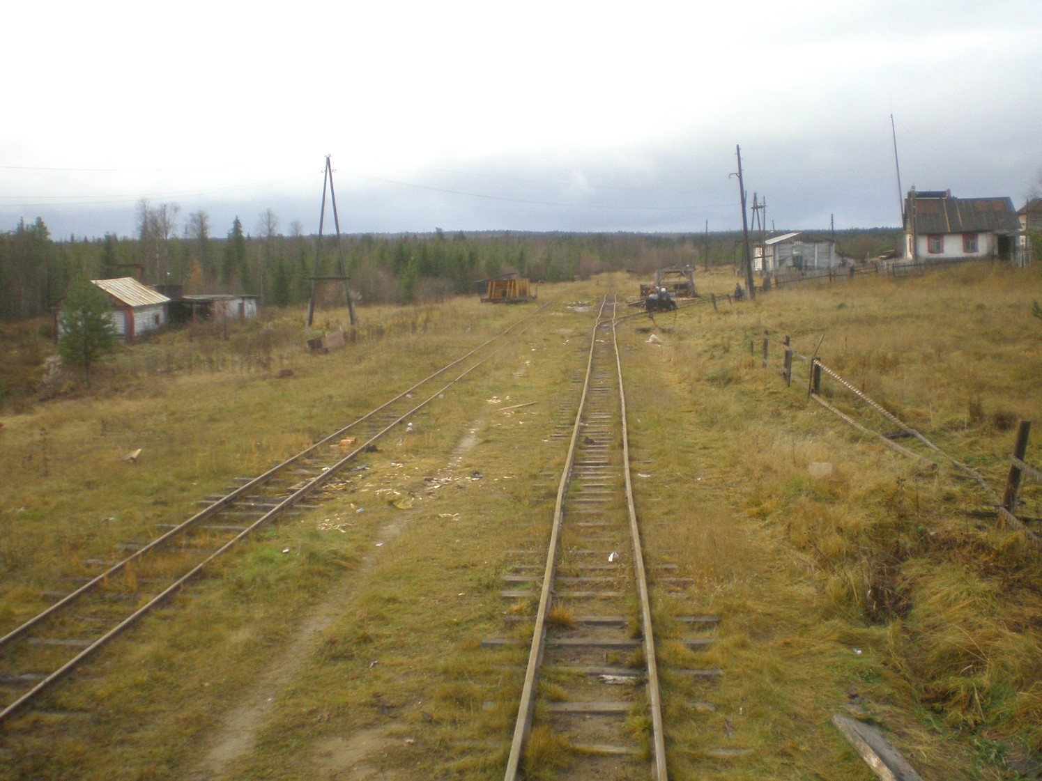 Пильвенская узкоколейная железная дорога  —  фотографии, сделанные в 2008 году (часть 24)