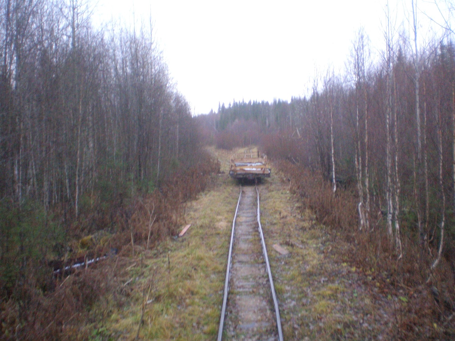 Пильвенская узкоколейная железная дорога  —  фотографии, сделанные в 2008 году (часть 26)