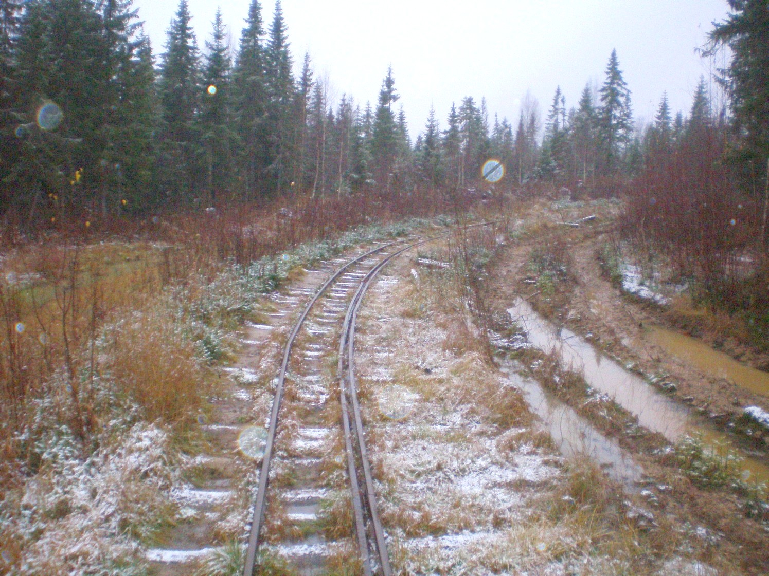 Пильвенская узкоколейная железная дорога  —  фотографии, сделанные в 2008 году (часть 29)