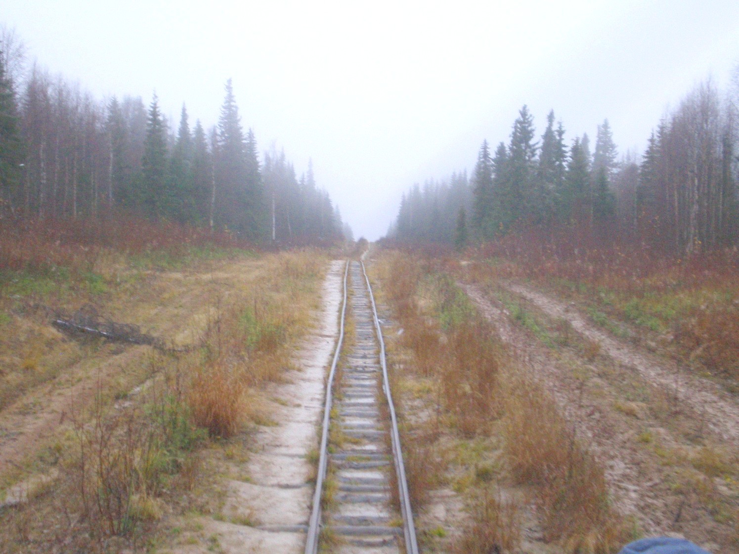 Пильвенская узкоколейная железная дорога  —  фотографии, сделанные в 2008 году (часть 30)