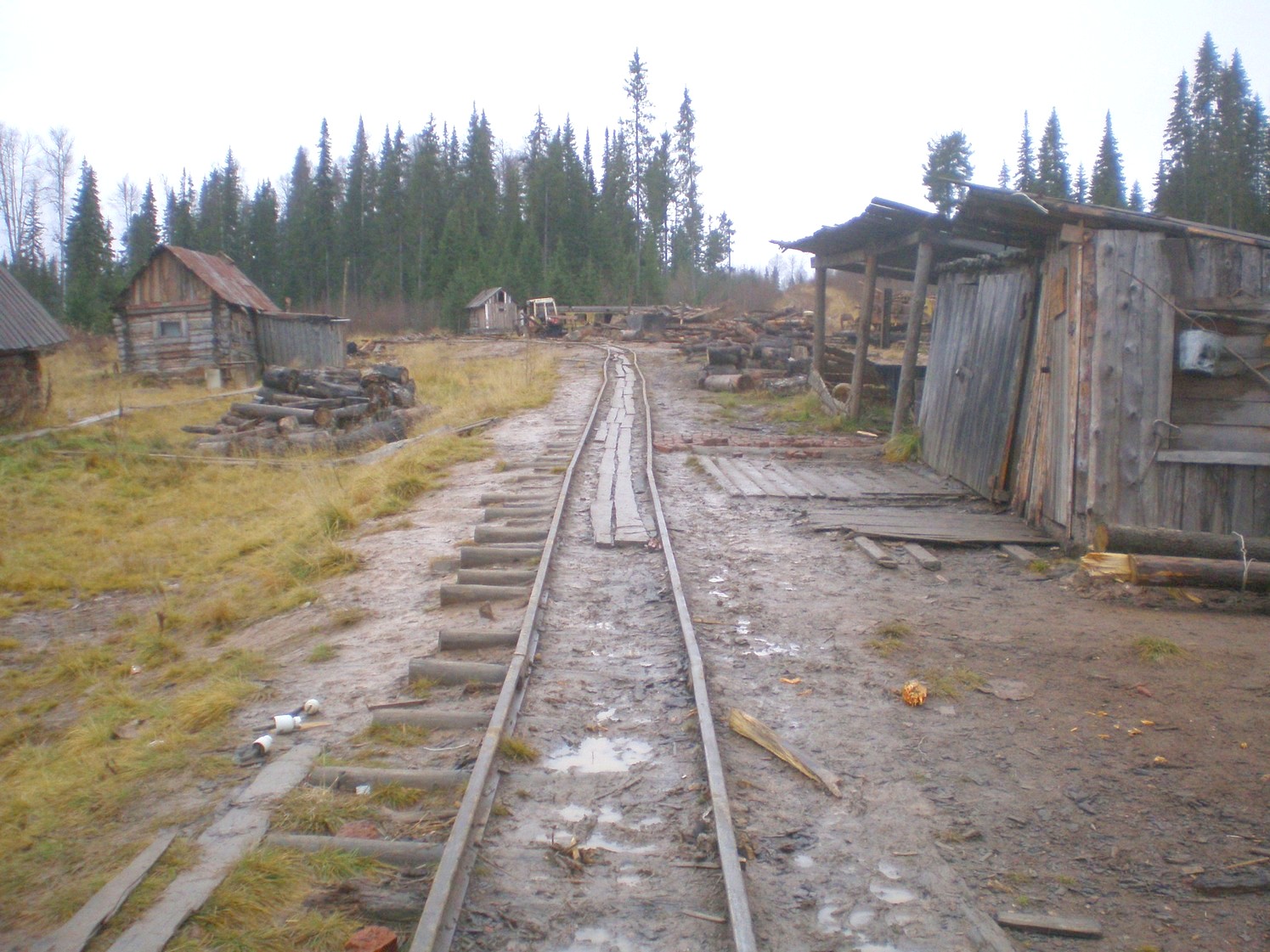 Пильвенская узкоколейная железная дорога  —  фотографии, сделанные в 2008 году (часть 33)