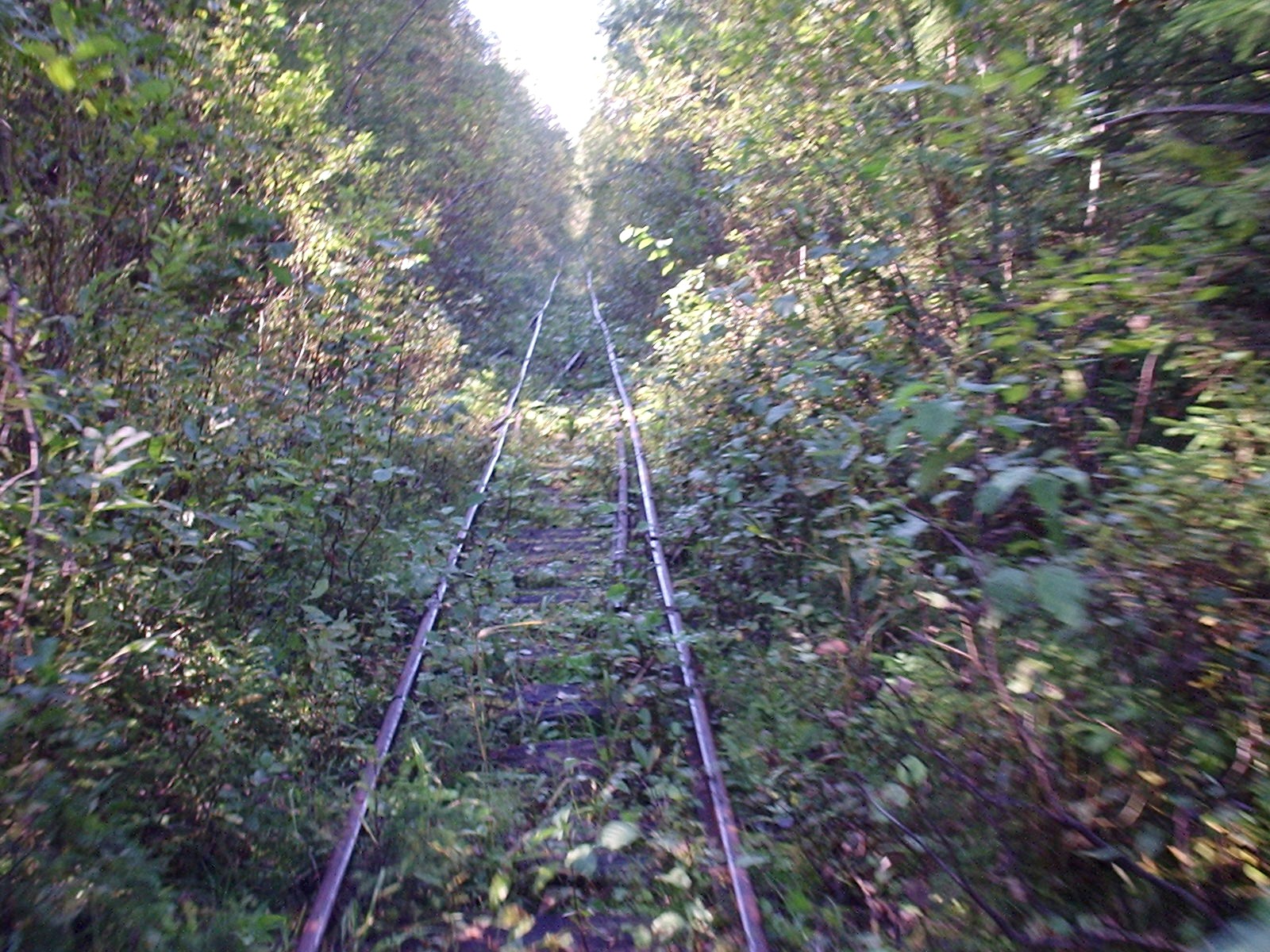 Узкоколейная железная дорога в Ломоватке — фотографии, сделанные в 2005 году (часть 4)