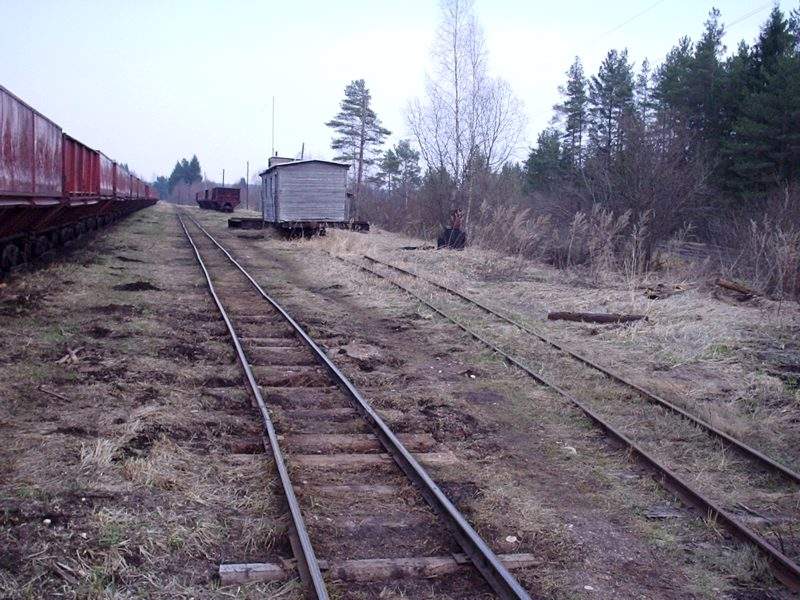Узкоколейная железная дорога Ранцевского торфопредприятия  —  фотографии, сделанные в 2005 году (часть 3)