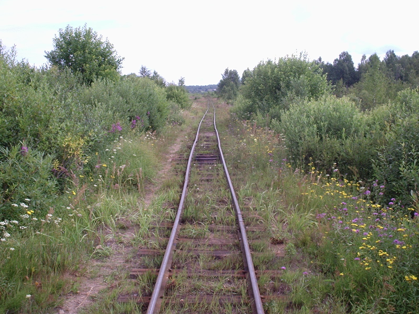 Сорокопольская узкоколейная железная дорога — фотографии, сделанные в 2006 году (часть 2)