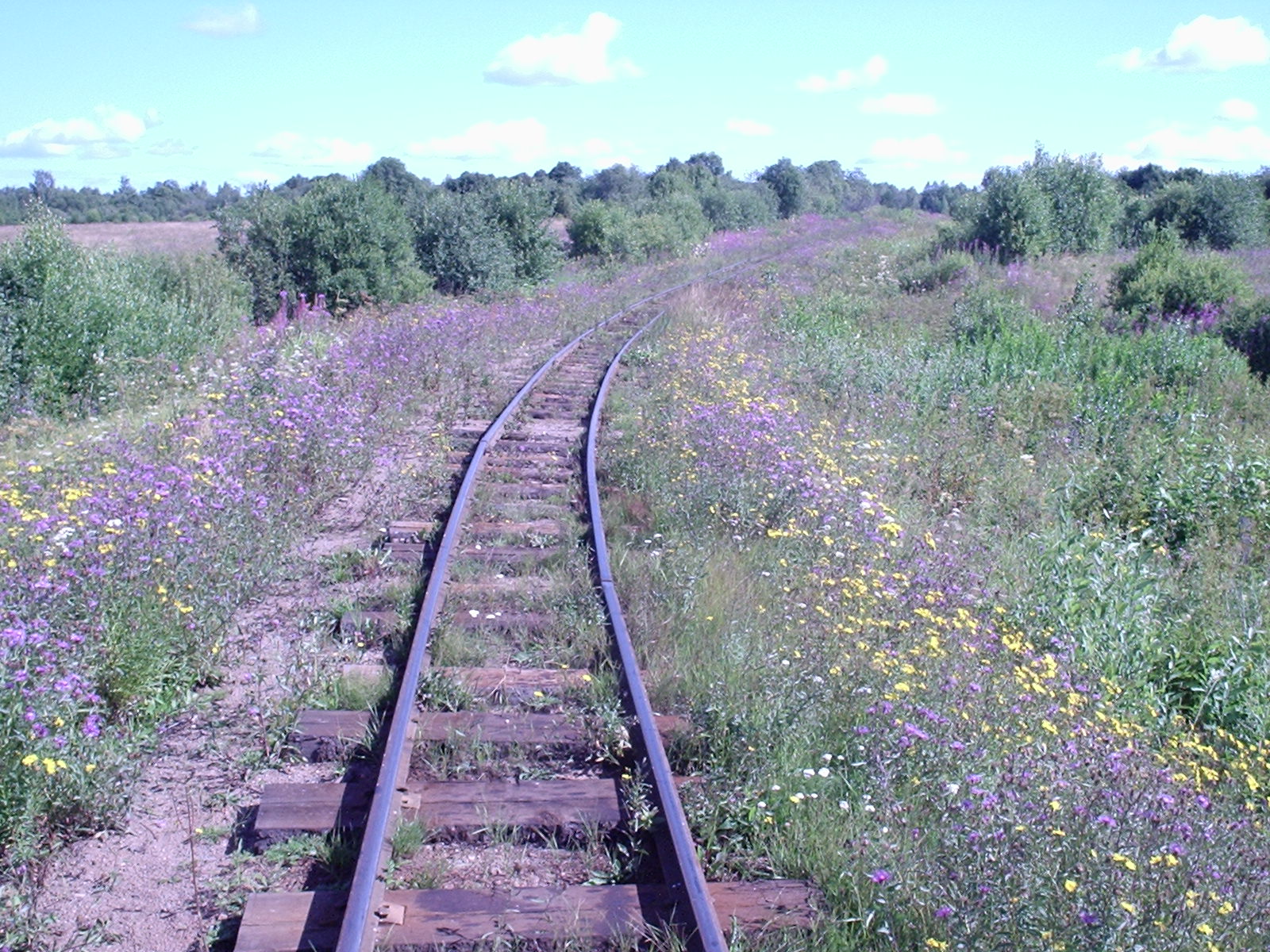 Сорокопольская узкоколейная железная дорога — фотографии, сделанные в 2006 году (часть 13)