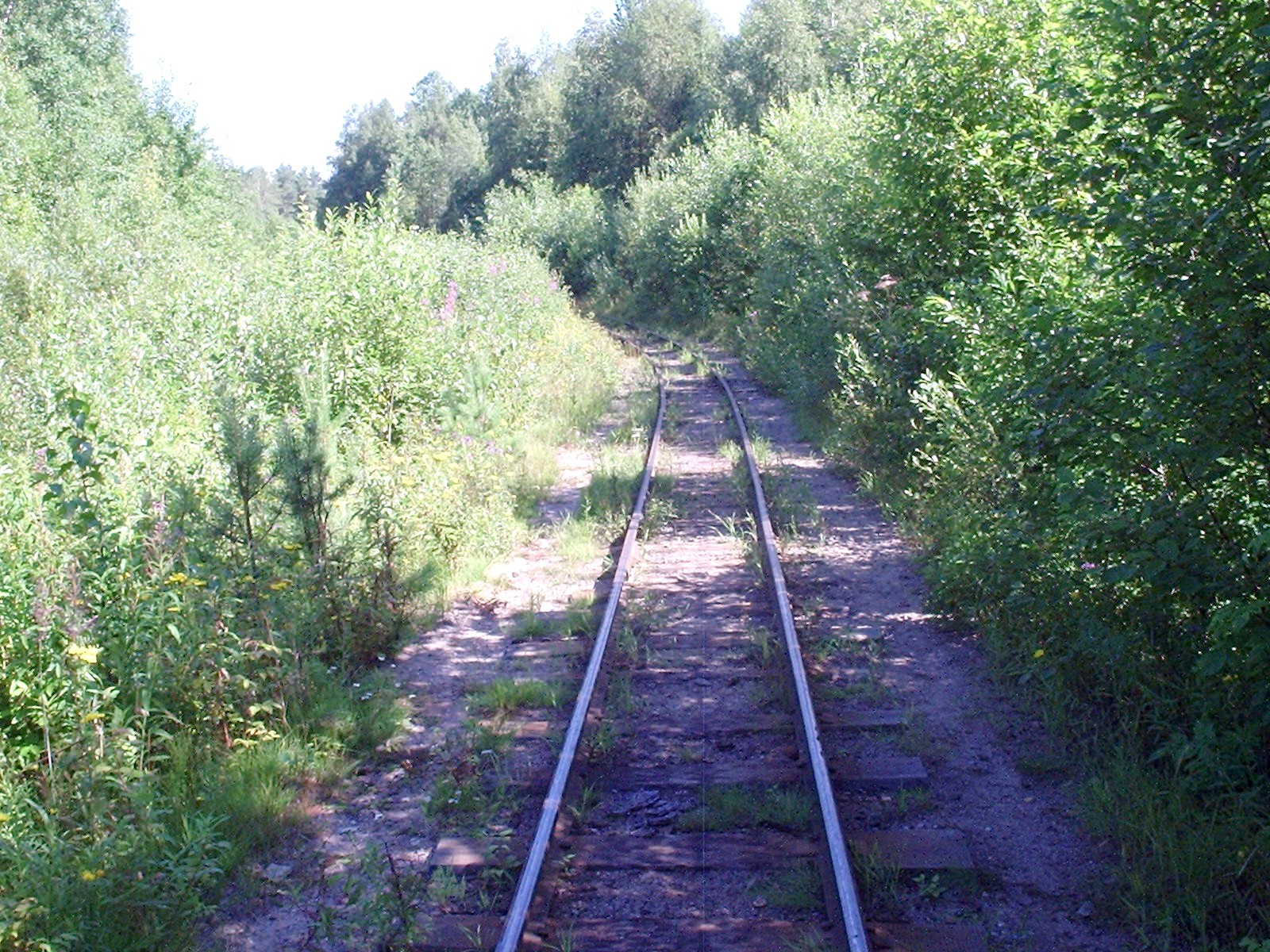 Сорокопольская узкоколейная железная дорога — фотографии, сделанные в 2006 году (часть 14)