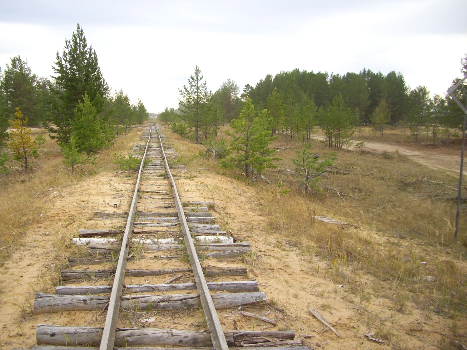 Чепецкая узкоколейная железная дорога  —  фотографии, сделанные в 2009 году (часть 1)