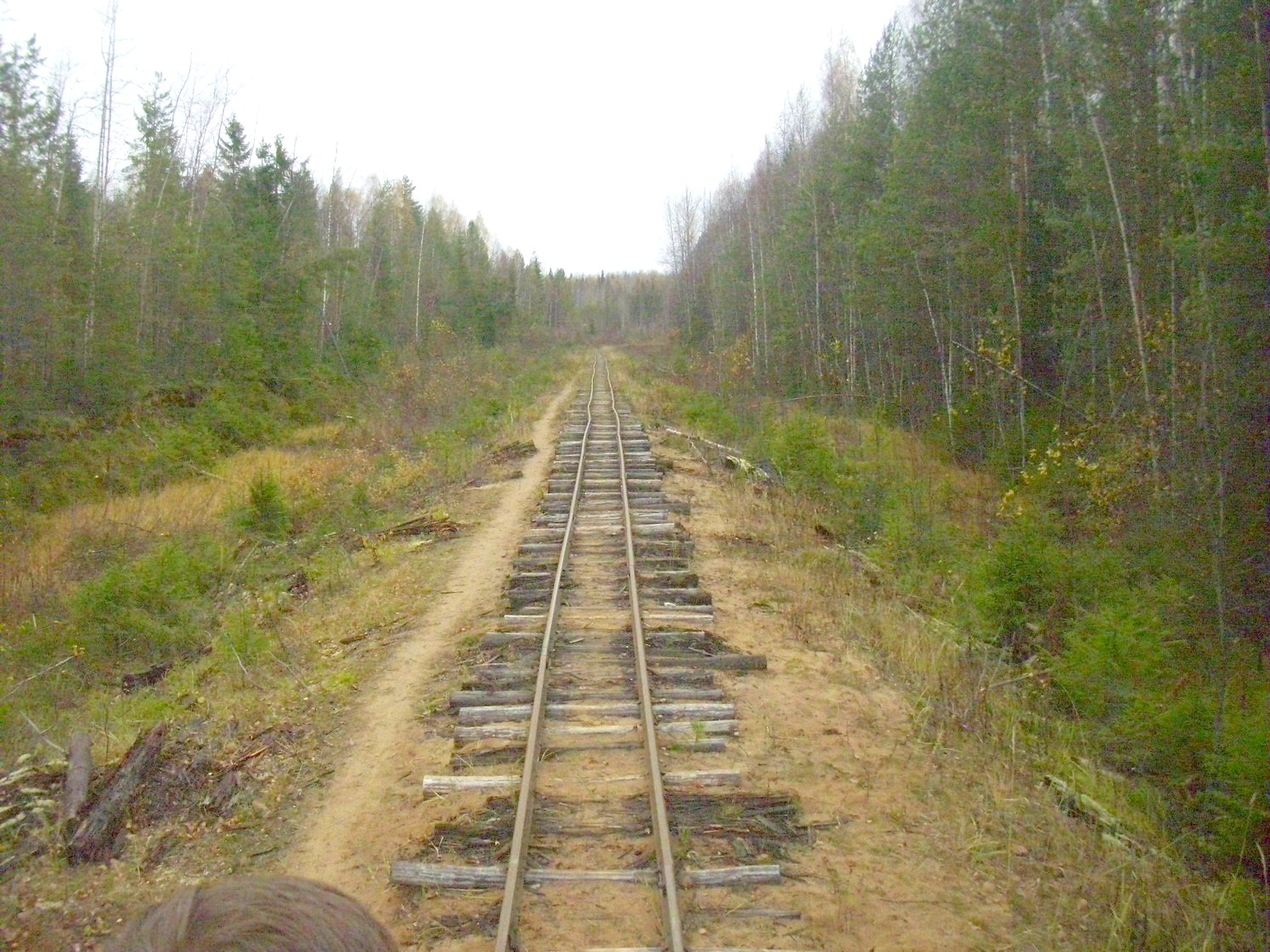 Чепецкая узкоколейная железная дорога  —  фотографии, сделанные в 2009 году (часть 22)