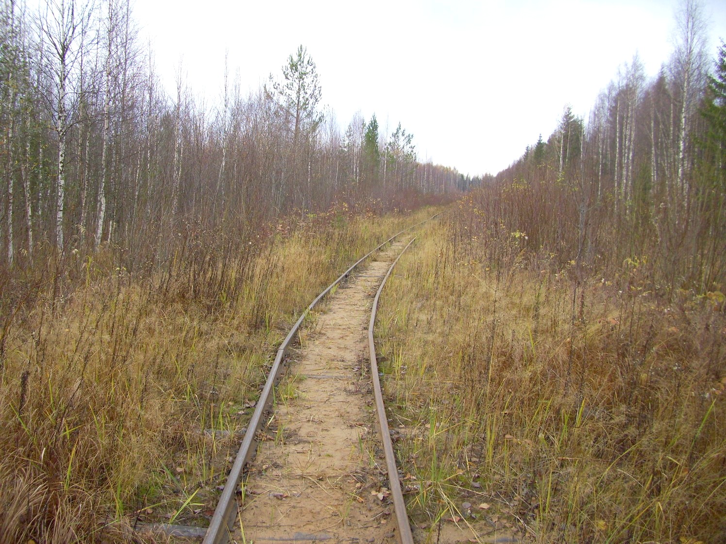 Чепецкая узкоколейная железная дорога  —  фотографии, сделанные в 2009 году (часть 26)