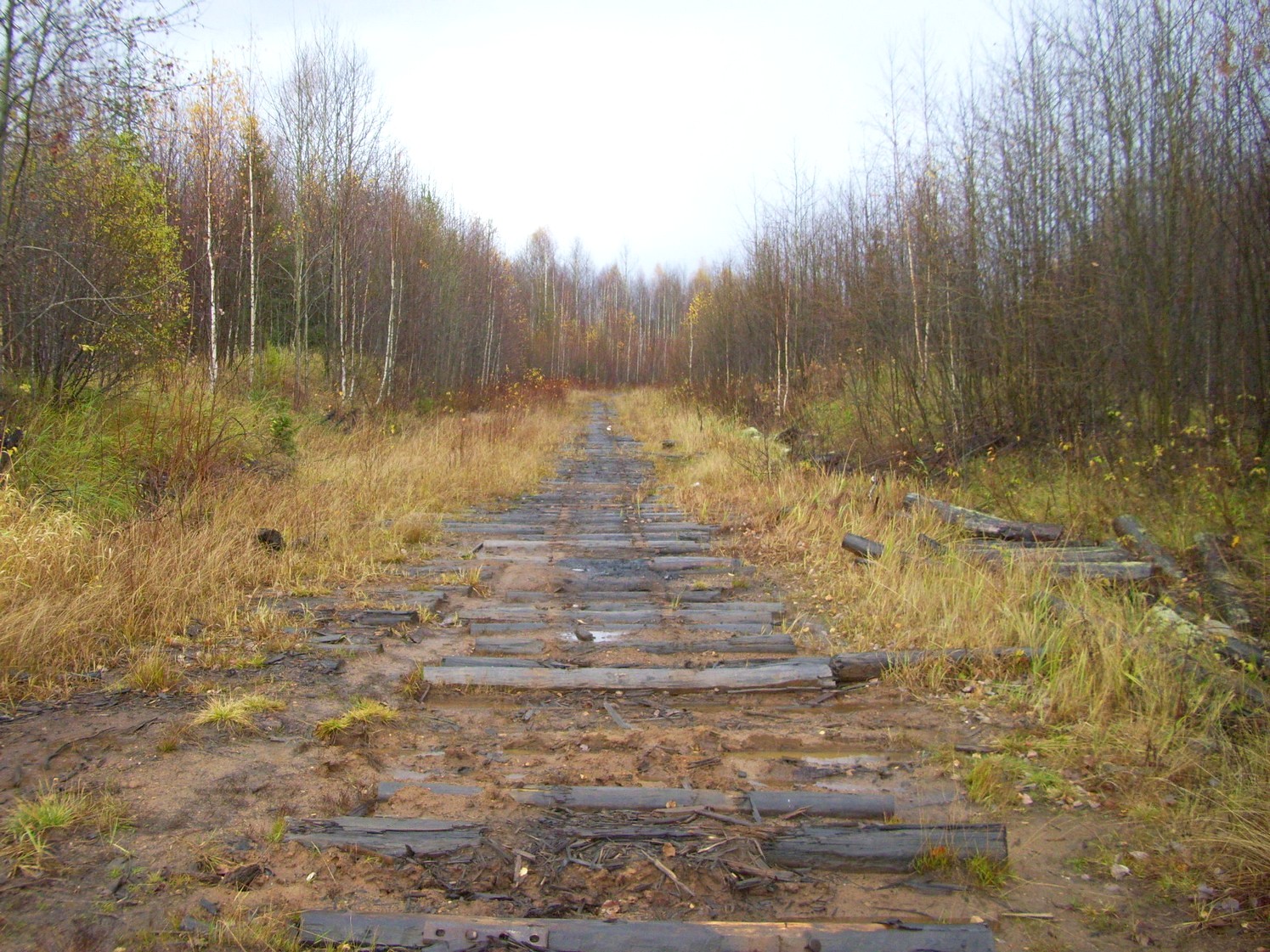 Чепецкая узкоколейная железная дорога  —  фотографии, сделанные в 2009 году (часть 32)