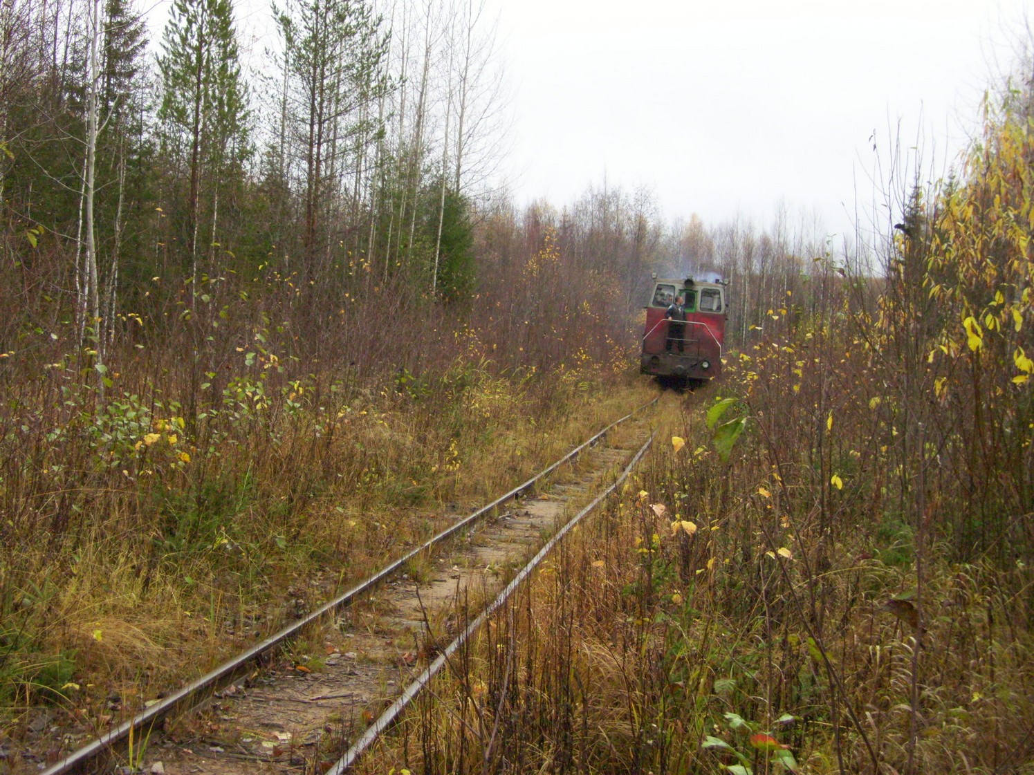 Чепецкая узкоколейная железная дорога  —  фотографии, сделанные в 2009 году (часть 33)