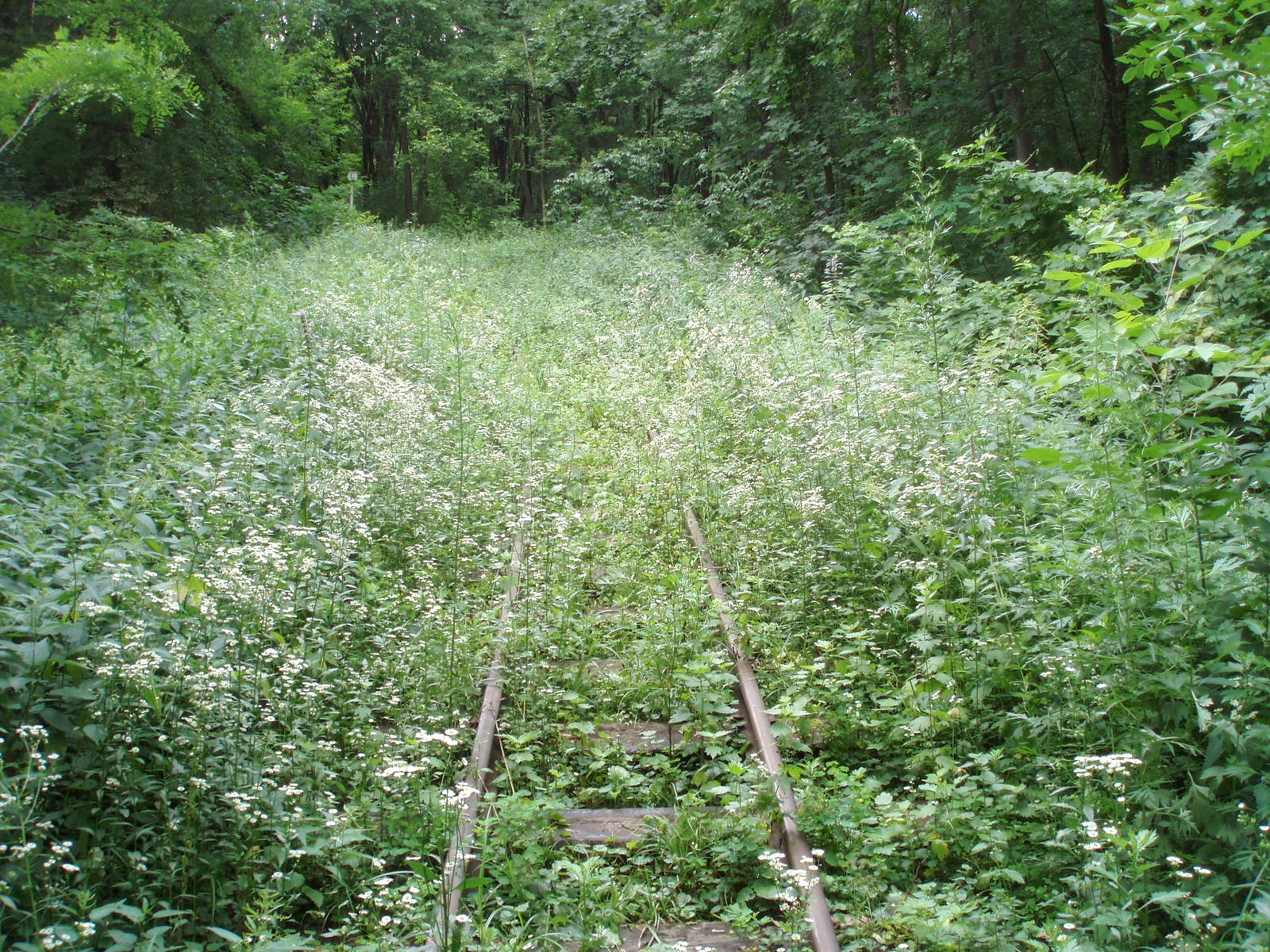 Малая Юго-Западная (Киевская) детская железная дорога  —  фотографии, сделанные в 2007 году (часть 6)