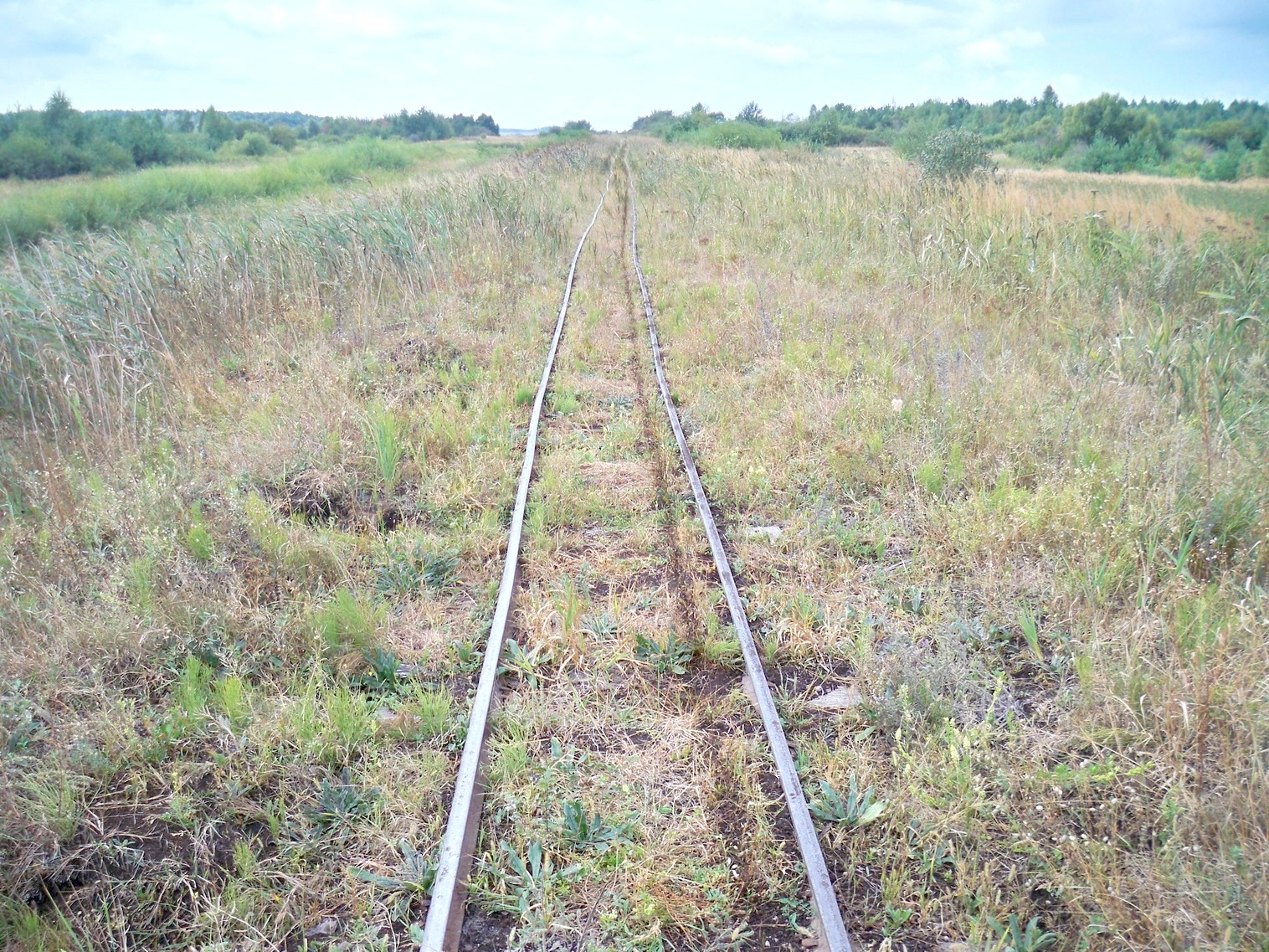 Узкоколейная железная дорога Лопатинского торфобрикетного завода
  —  фотографии, сделанные в 2013 году (часть 4)